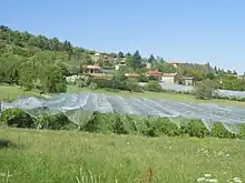 Un verger, avec des habitations au second plan.