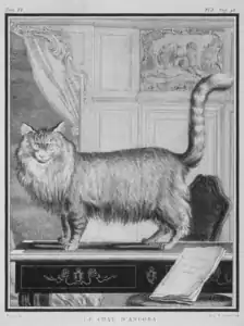 Le Chat d'Angora (t. VI).