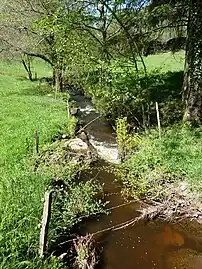 Le Trieux à Saint-Barthélemy-de-Bussière.