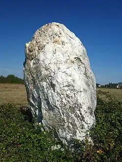 Image illustrative de l’article Menhir de Kerbourg