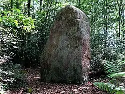 Image illustrative de l’article Pierre de Rumfort