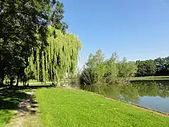 Le terril Pas de la Ville Ouest.