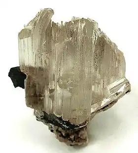 Image illustrative de l’article Leiteite