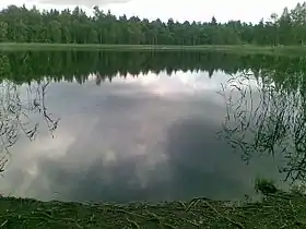 Nõva