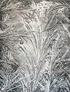 Givre sur un carreau de vitre.