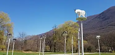 Les sentinelles de Victoria Klotz