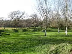  Photographie de dunes artificielles recouvertes de pelouses, des arbres.
