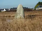 Menhir de Lehan