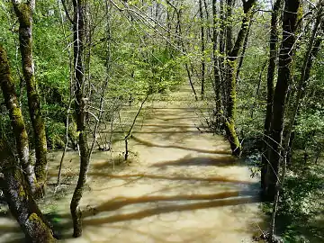 En crue au pont de la RD 708, en limite de Saint-Rémy et Saint-Méard-de-Gurçon.