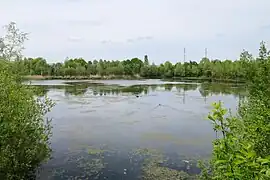 La partie orientale de l'étang.