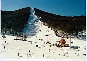 Vue aérienne de la station.