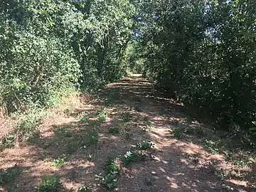 Lieu-dit Rolnier à Concremiers en 2020.