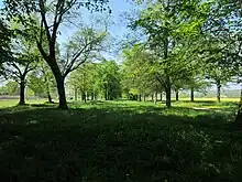 Lindenallee, pistes cyclables subventionnées par l'UE