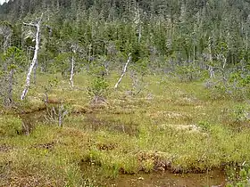 Paysage de l'île Kupreanof