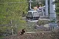 Téléphérique passant au-dessus de l'enclos des lions.