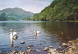 Image illustrative de l’article Loch Achray