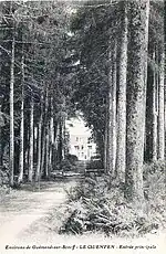 Locmalo ː l'entrée du parc du château de Quenven, lequel est visible à l'arrière-plan (carte postale).