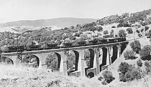 Une locomotive CFAE 6AE tractant un train de minerai sur la ligne de Souk-Ahras à Oued Kéberit.