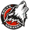 Logo des Huskies depuis 2006