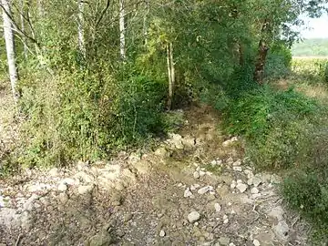 Le même endroit  à sec.