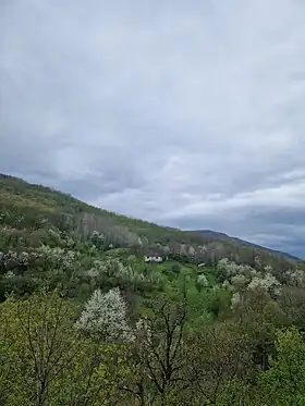 Dedinje (Kosovska Mitrovica)