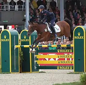 Lalia della Nave, jument selle italien, montée par Luisa Palli lors du Championnat d'Europe de Concours Complet à Luhmühlen en 2011.