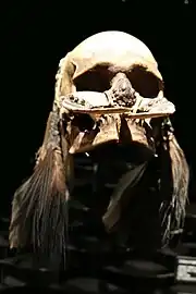 Crâne-trophée Asmat.  Os, graines, coquillages, plumes, fibres. H. 30 cm. Irian Jaya. Indonésie.1850-1950