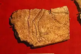 Plaquette de la Femme au renne, MAN.