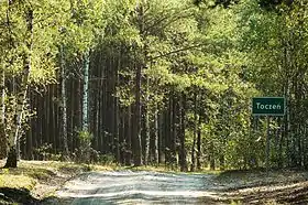 Toczeń (Grande-Pologne)