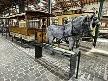 Tramways Bruxelles, chevaline n° 31