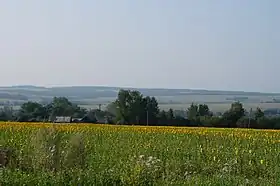 Raïon de Bolchoïe Ignatovo