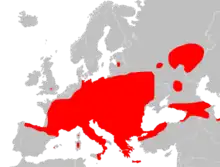 Planisphère de couleur grise représentant en rouge la présence du Loir gris dans le monde (Europe et Asie de l'Ouest).