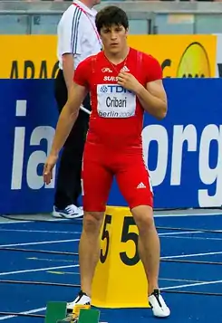 Image illustrative de l’article Marco Cribari