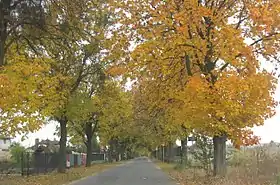 Marianów (Varsovie-ouest)