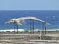 Squelette de baleine près des salines d'el Carmen.