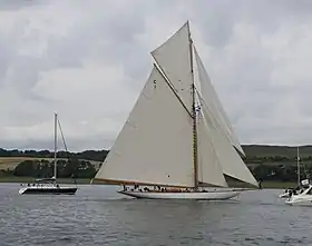 illustration de Mariquita