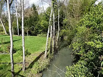 La branche orientale du Marmelet au pont de la RD 34.
