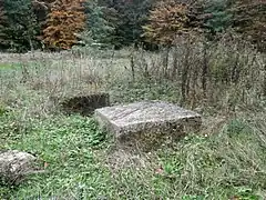 Bases de colonnes de la galerie sud.