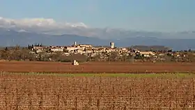 Marseillette