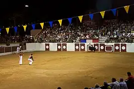 Course landaises à Maubourguet en 2011.