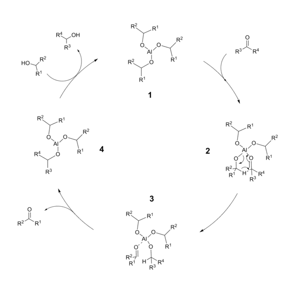Cycle catalytique de la réduction de Meerwein-Ponndorf-Verley.