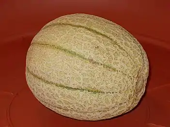 Image illustrative de l’article Melon de Cavaillon