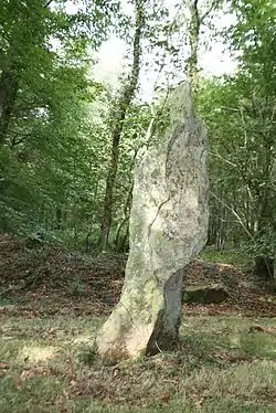 Le menhir de Coat-Couraval.