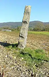 Menhir de Pierre Fiche