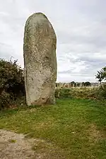 Le menhir de Lann al Louarn.