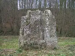 Image illustrative de l’article Menhir de Pierrelaye