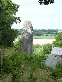 Image illustrative de l’article Menhir de Porzic
