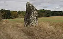 Menhir de l'Ormorice.