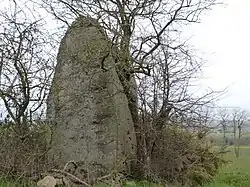 Image illustrative de l’article Menhirs de Saint-Mirel