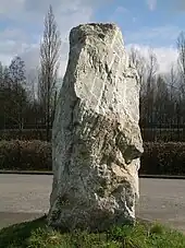 Menhir des Vingt Acres